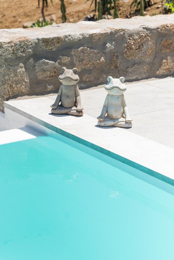 Dioni Villa Mykonos Paraga  Eksteriør bilde