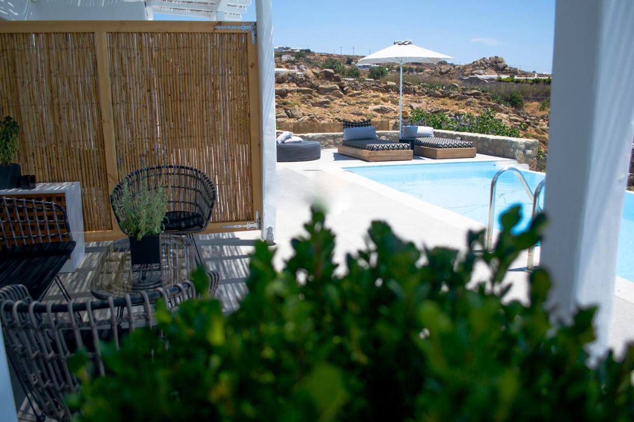 Dioni Villa Mykonos Paraga  Eksteriør bilde