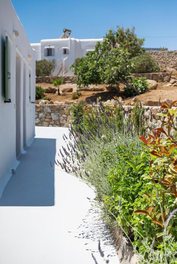 Dioni Villa Mykonos Paraga  Eksteriør bilde