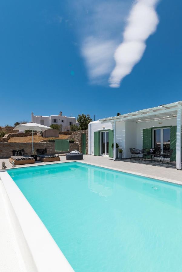 Dioni Villa Mykonos Paraga  Eksteriør bilde